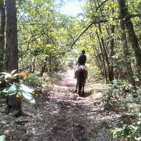 La Casa Nel דירה *