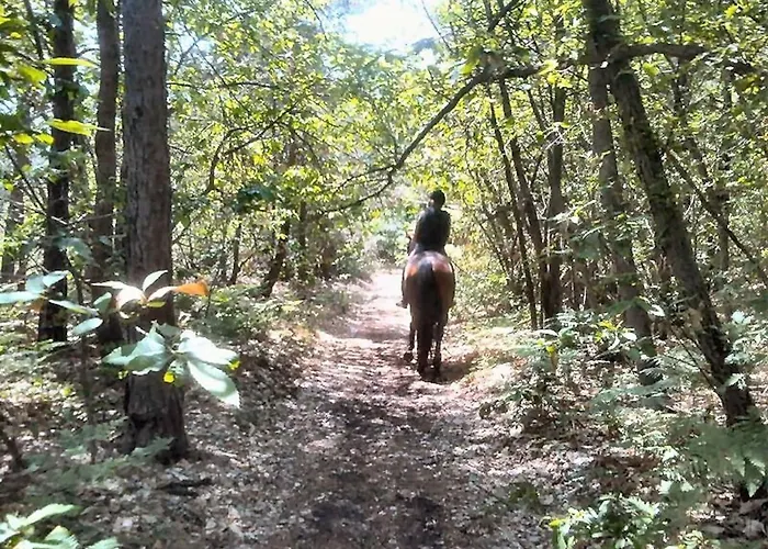 La Casa Nel Apartmán *